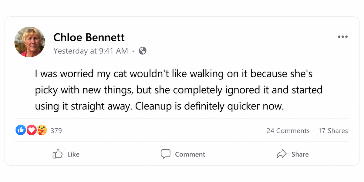 Customer comment 1