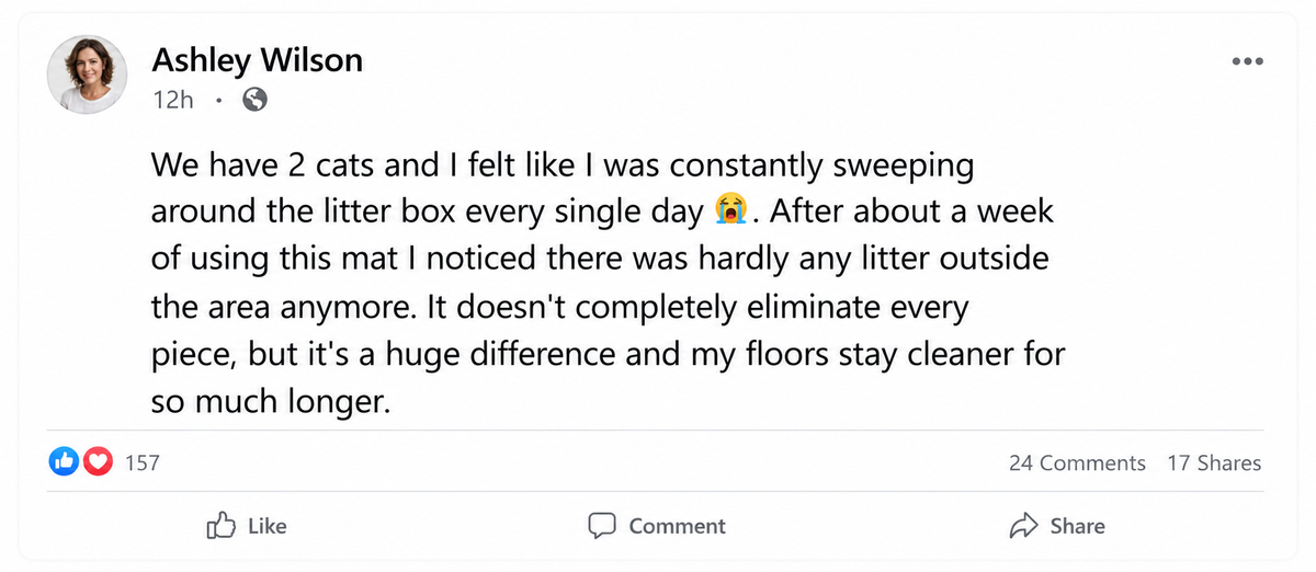 Customer comment 4