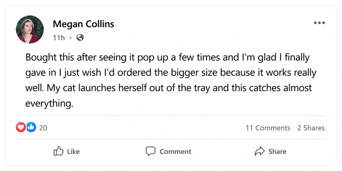 Customer comment 6